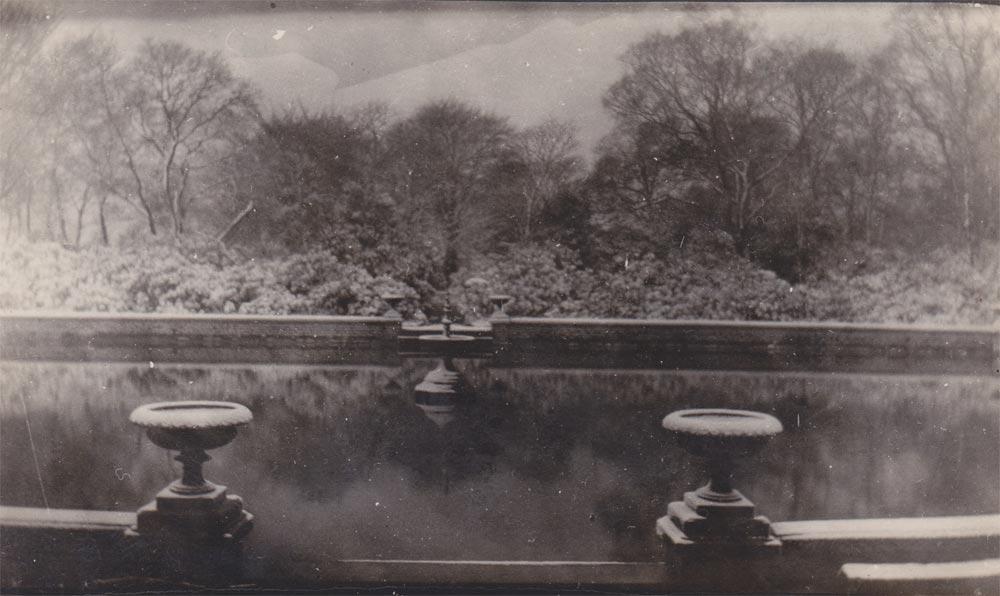 Lily pond at Haigh Hall