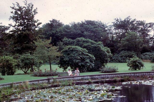 Haigh Hall fish pond, c1973.