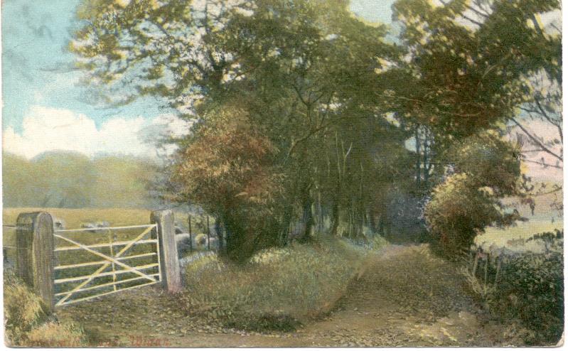 Brock Mill Lane. 1906.