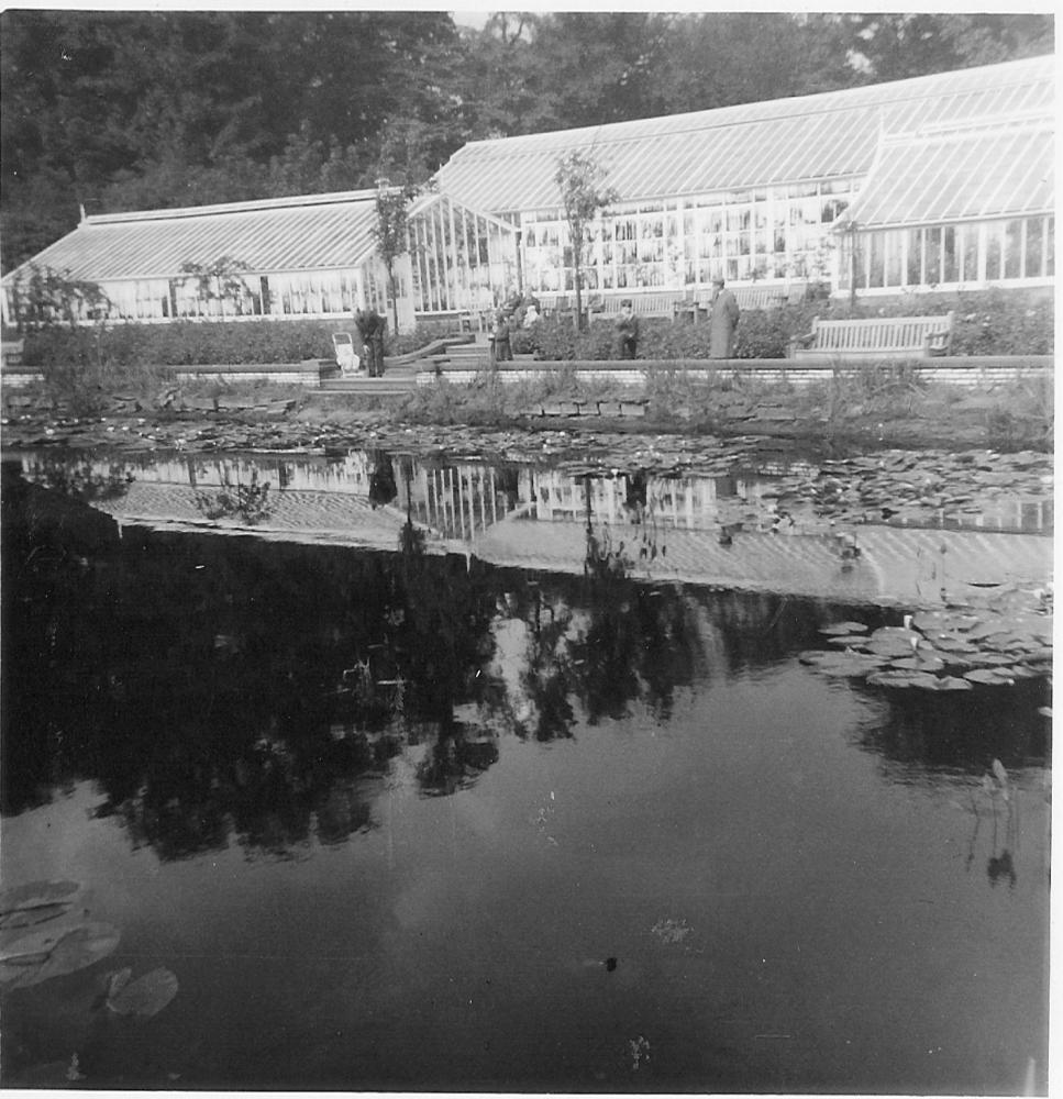 Reflections in the fish pond @ Haigh Hall gardens. 05-09-1965.