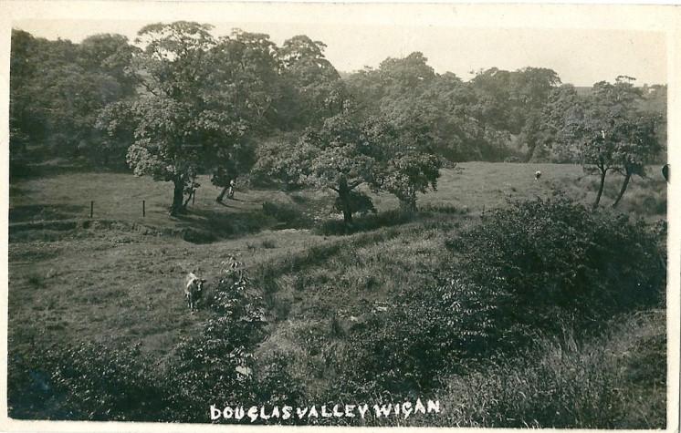Douglas Valley