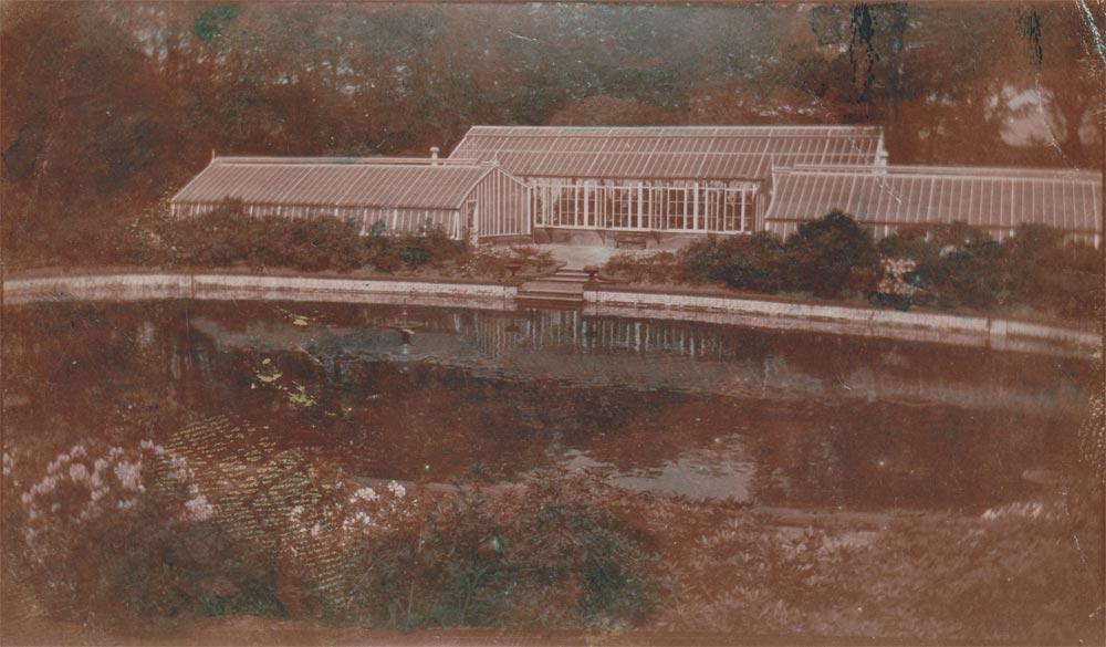 Haigh Hall greenhouse