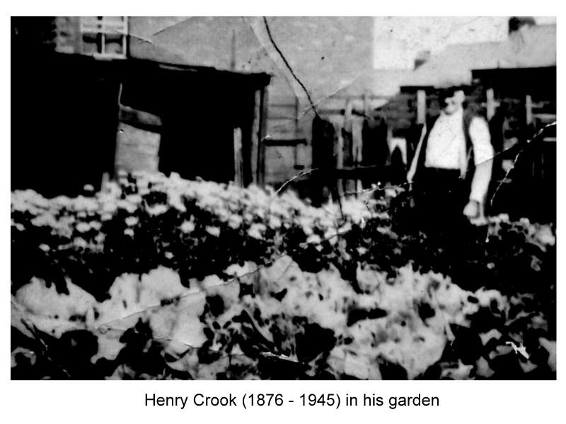 Henry Crook snr in his garden