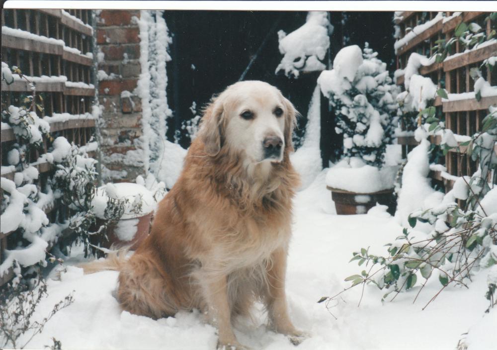 A snowy Winter in 1996