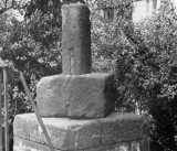 Mabs Cross