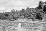 The Douglas Valley at Arley.