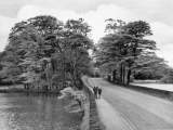 Wrightington