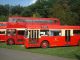 More of the region's buses. (79K)