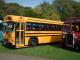 The first American 'Yellow School Bus' operated from new in the UK. (71K)