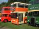 More old, familiar buses. (71K)
