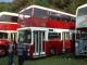 2 Wigan Corporation buses, the first fully restored, the second, undergoing restoration. (74K)
