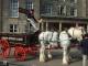 Joshua Tetley's Horses and Cart in front of Haigh Hall. (75K)