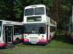 Modern buses at the show. (72K)