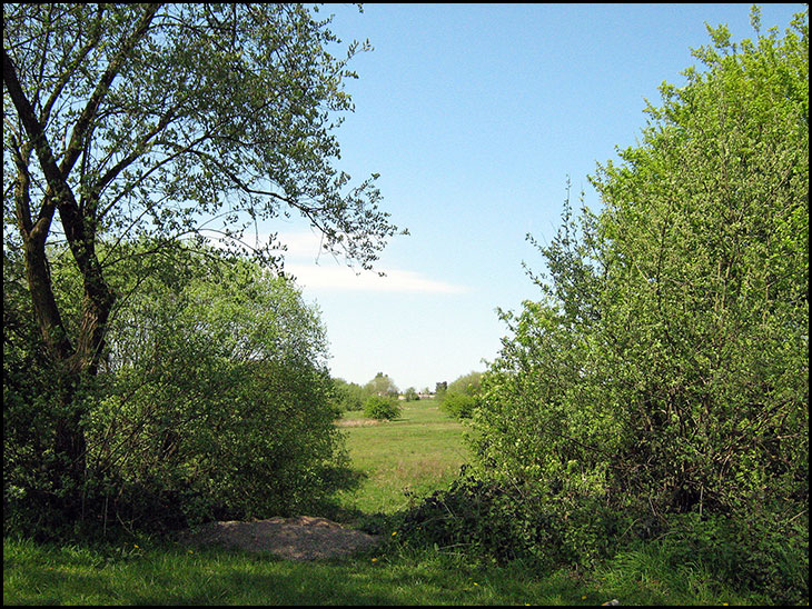 Platt Lane fields