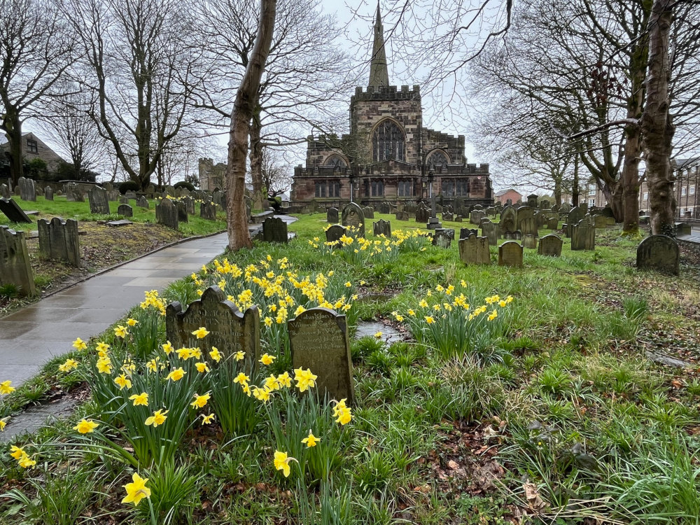 St Wilfrid of the Daffodils