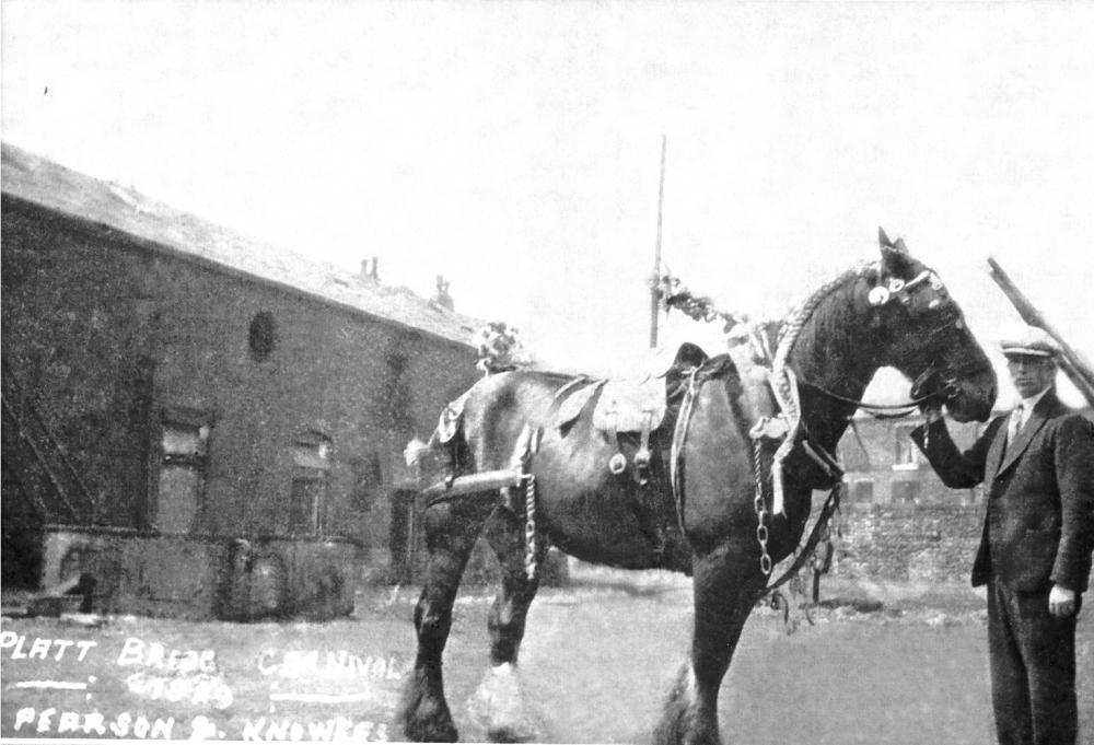 Nell, the horse which drew the Walking Day cart Nell, the horse which drew the Walking Day cart