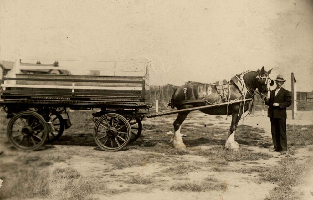 Walking Day cart