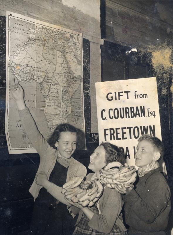 Photograph No2. Distribution of Bananas 19th September 1950 Photograph No2. Distribution of Bananas 19th September 1950