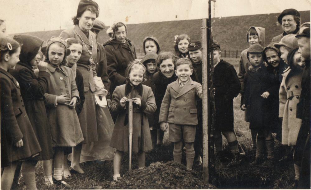 Planting trees for the coronation of the Queen