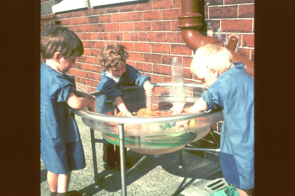 Top yard, New Springs Nursery 1978 Top yard, New Springs Nursery 1978
