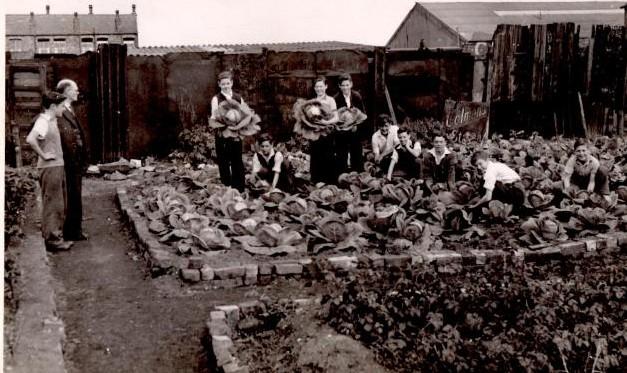 The Garden at St William's RC Ince about 1951/52ish The Garden at St William's RC Ince about 1951/52ish
