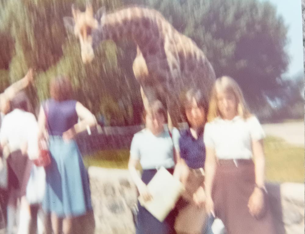 Chester Zoo 1975 or 1976