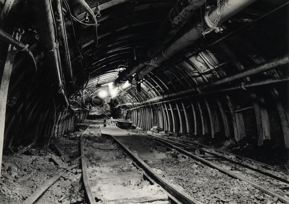 Bottom of WMA tunnell. Bottom of WMA tunnell.