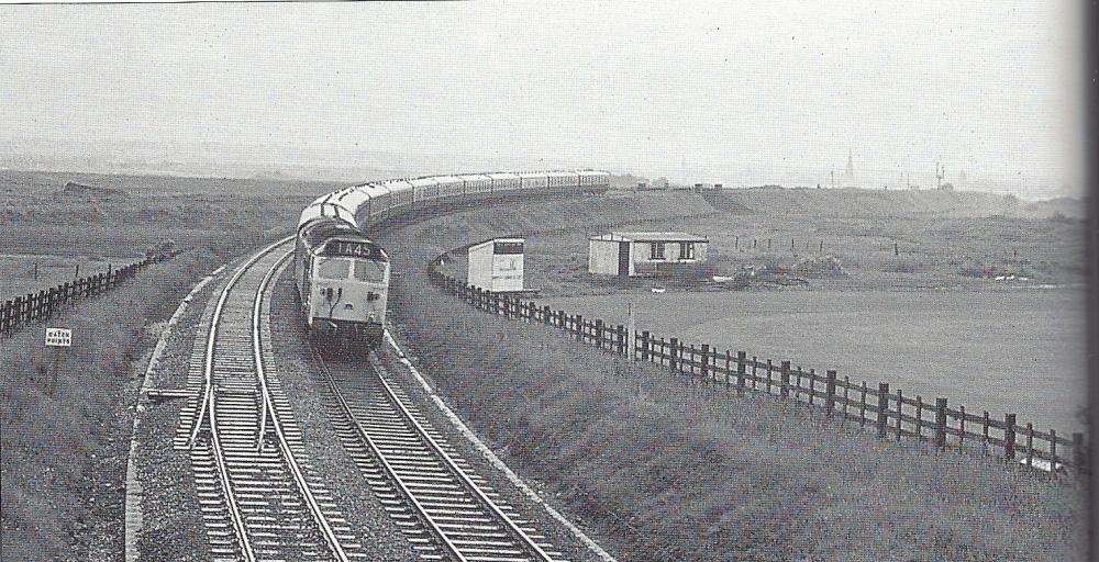 d 428 d 428