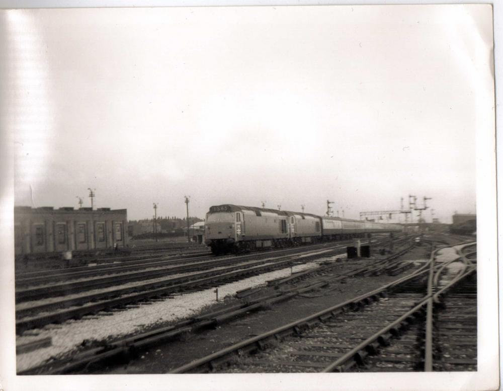 Springs Branch 1969 Springs Branch 1969