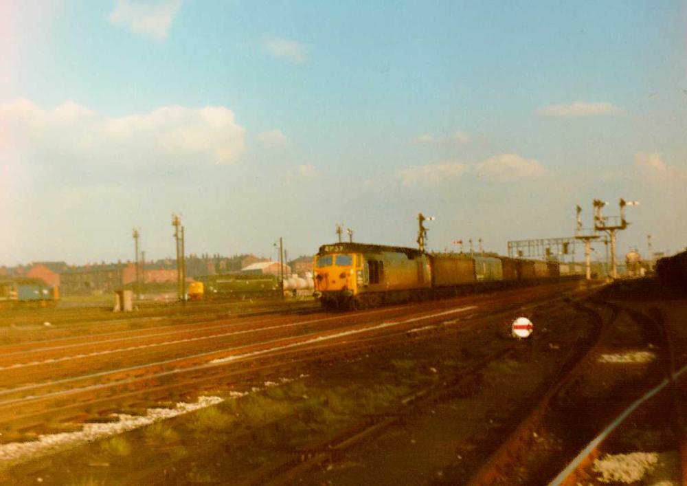 Springs Branch 1968 Springs Branch 1968