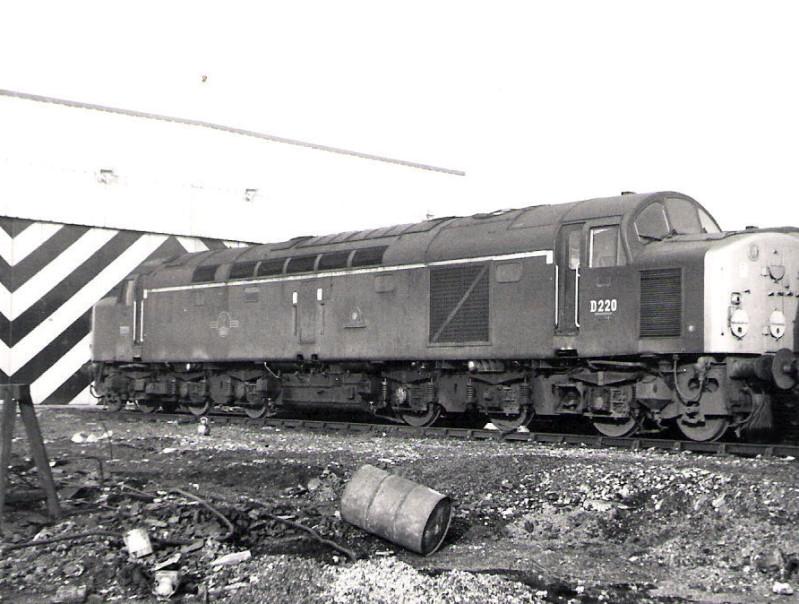 Springs Branch 1967 Springs Branch 1967