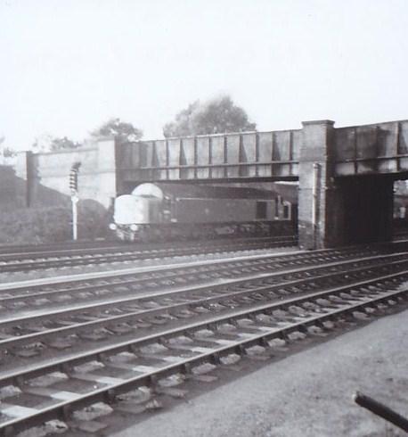 Springs Branch Springs Branch