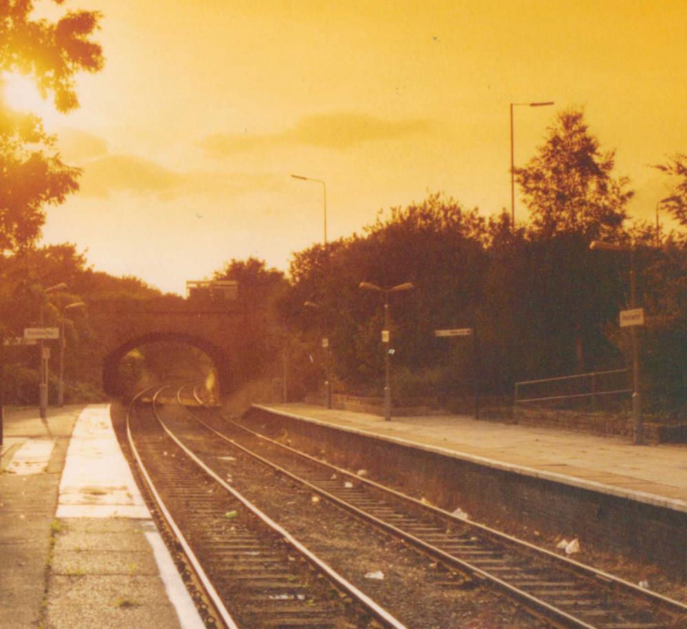 Evening Sunshine At Pemberton 1990 Evening Sunshine At Pemberton 1990
