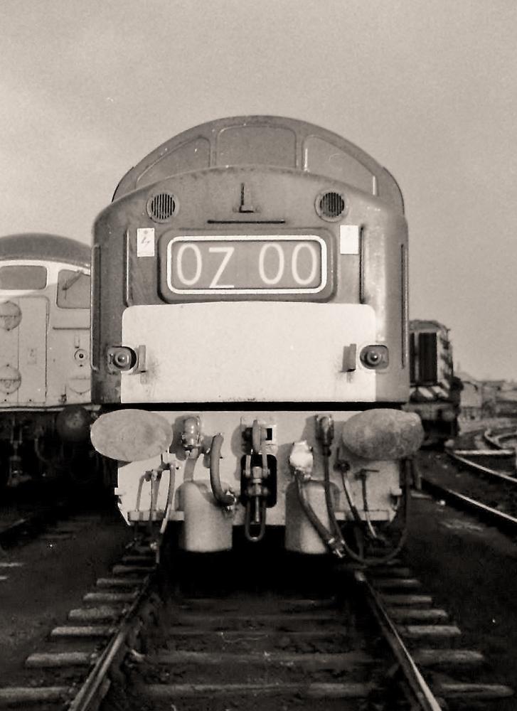 A class 40 at the branch A class 40 at the branch