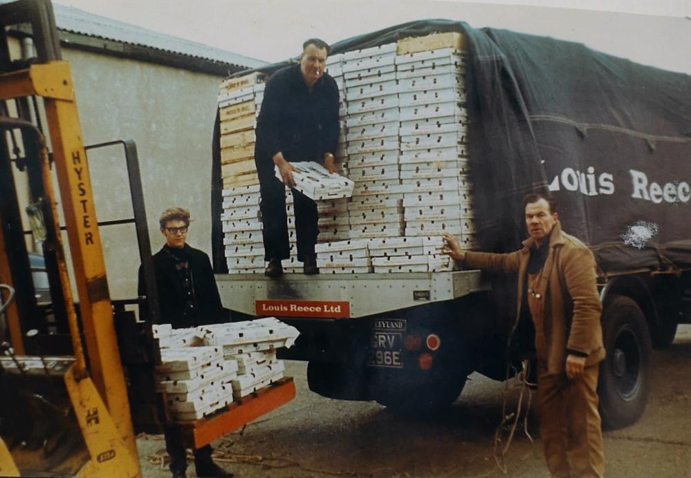 Wholesale Fruit Market