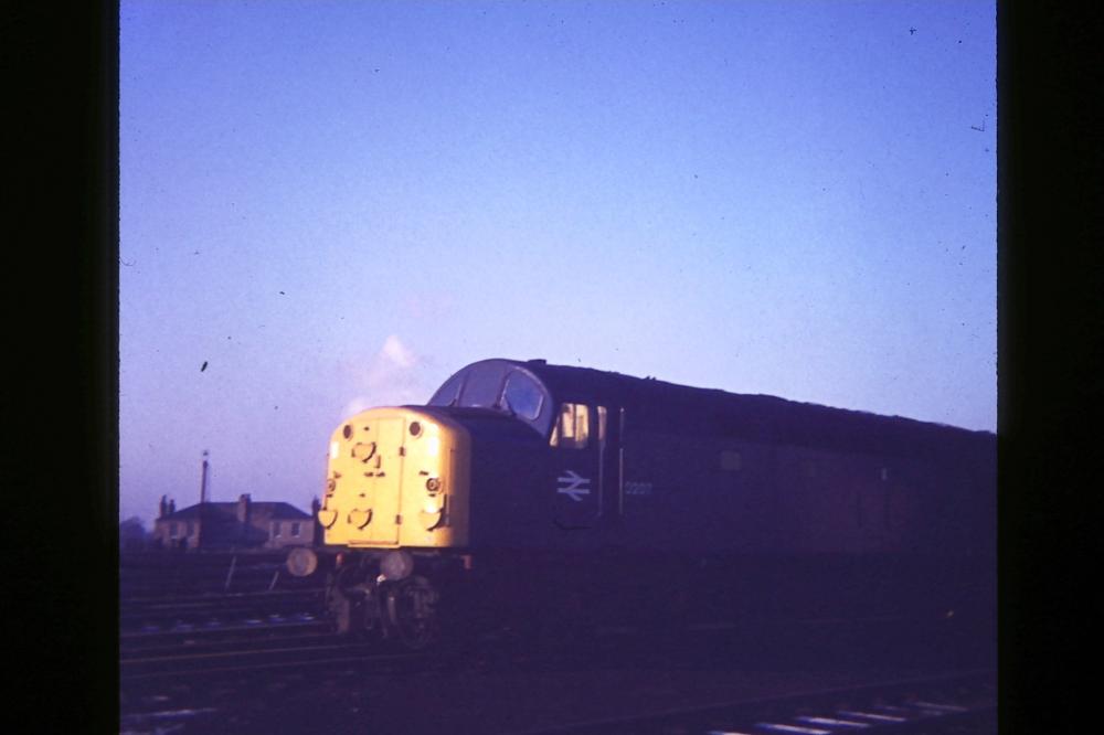Class 40 On Shed At Springs Branch 1969/1970 Class 40 On Shed At Springs Branch 1969/1970