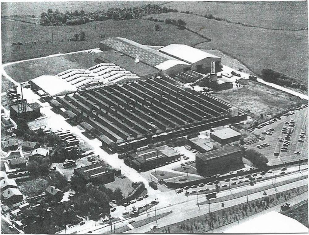 Reeds Factory Reeds Factory
