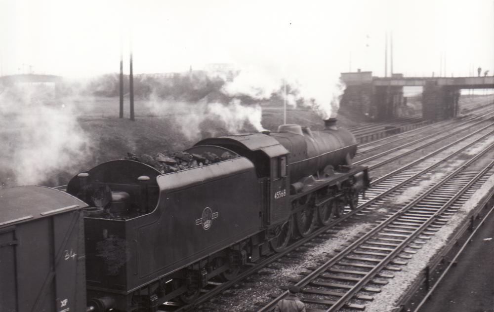Springs Branch No. 1 Springs Branch No. 1