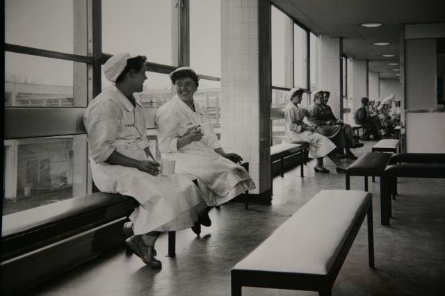 Tea Bar Tea Bar