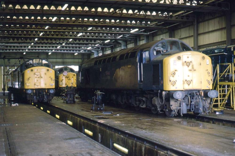 Springs Branch 40s Springs Branch 40s
