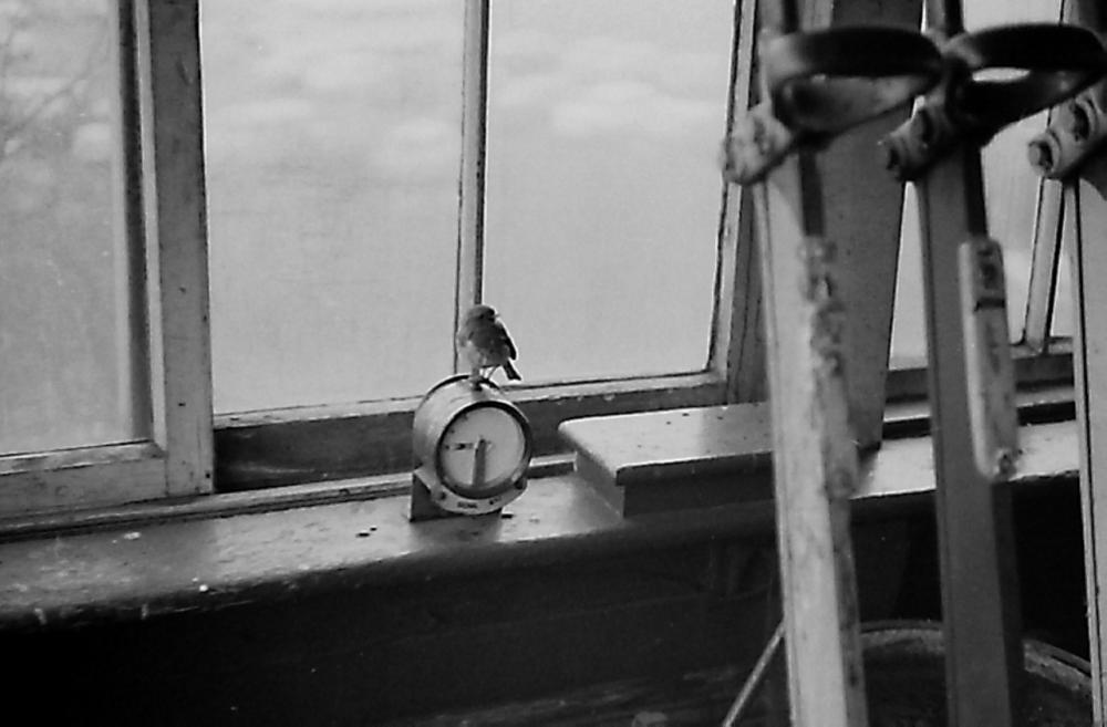 Signal-box Mascot. Signal-box Mascot.