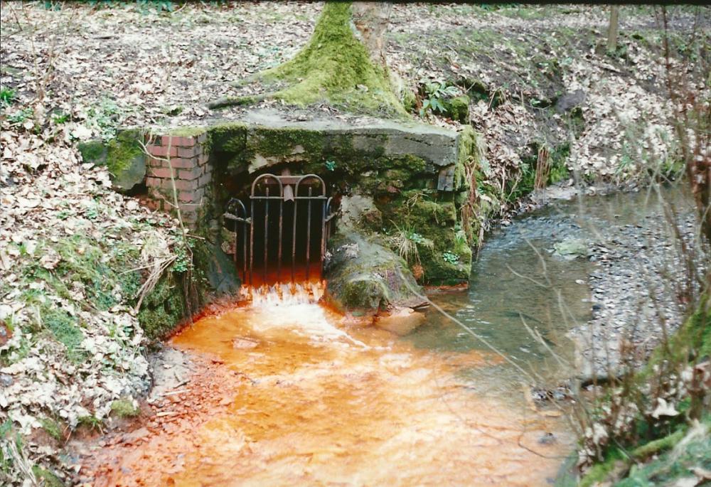 Yellow Brook Yellow Brook