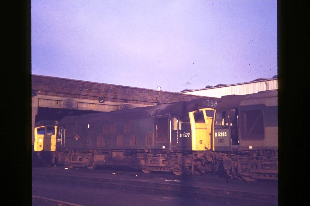 More Diesels At Springs Branch 1968 More Diesels At Springs Branch 1968