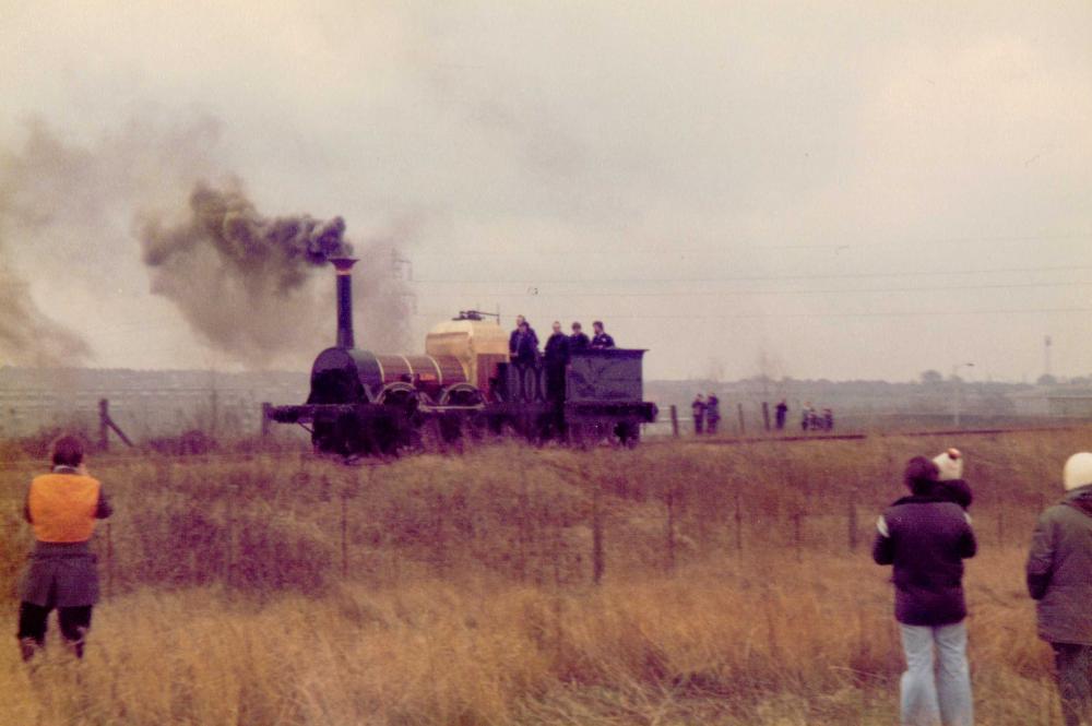 Lion 1980 Lion 1980