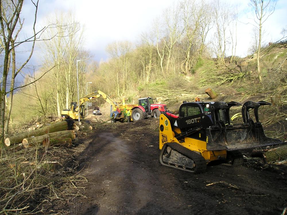 10-02-2010-Trees Removal.