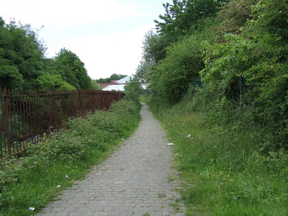 Cobbled Path at the side of the river.