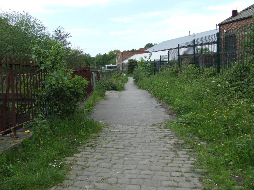 Cobbled Path and steps at the side of the river.