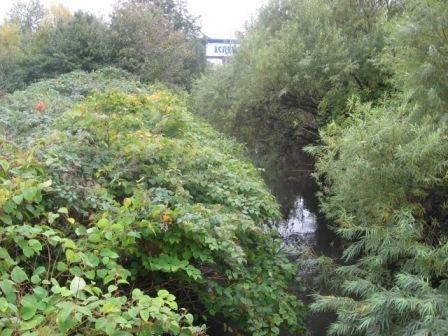 Where is the River? Where is the River?