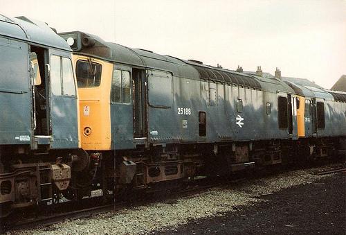 Springs Branch 1983