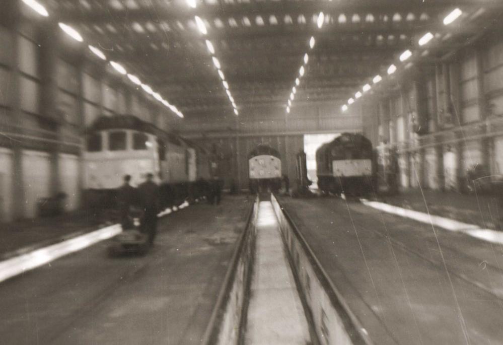 Inside Springs Branch Shed 1969 Inside Springs Branch Shed 1969
